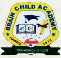 Brainchild Schools Logo